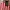 Obey Y2K T-shirt Pria white red photo 6