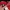 Sportswear Sweater Pria white red photo 5