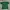 Vintage Luxury T-shirt Pria green photo 3