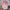 Teenie Weenie Streetwear Minimalist Hat Wanita pink photo 6