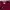 Billabong Casual T-shirt Pria burgundy photo 3