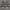 American Apparel Casual Puffer jacket Pria gray photo 1