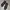 Nike Streetwear Goth Sneakers Pria black photo 4