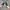 Nike Streetwear Goth Sneakers Pria black photo 8