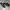 Nike Streetwear Goth Sneakers Pria black photo 2