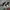 Nike Streetwear Goth Sneakers Pria black photo 7