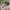 Ray Ban Casual Sunglass Pria brown photo 4