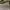 Ray Ban Casual Sunglass Pria brown photo 5