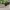 Ray Ban Casual Sunglass Pria brown photo 3