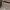 Ray Ban Casual Sunglass Pria brown photo 6