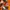 Sportswear Indie Track jacket Pria orange photo 7
