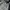 The North Face Streetwear Sportswear Sweatshirt Pria multicolor photo 5