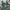 Vintage Y2K T-shirt Pria green photo 2