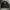 Polo Ralph Lauren Casual Puffer Jacket Pria Black