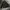 Polo Ralph Lauren Casual Puffer jacket Pria black photo 4