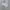 Asics Vintage Sportswear Windbreaker Pria cream photo 8