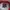 Vintage Casual Windbreaker Pria white red photo 3