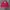 Vintage Casual Windbreaker Pria White Red