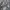 Gorpcore Minimalist Puffer jacket Pria black gray photo 5