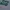 Jeep Casual Sweater Pria silver green photo 3