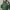 Oakley Vintage Y2K Windbreaker Pria green photo 7