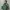 Oakley Vintage Y2K Windbreaker Pria green photo 8