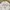 Vivastudio Streetwear Casual Sweater Pria white photo 3