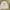 Vivastudio Streetwear Casual Sweater Pria White