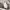 Vivastudio Streetwear Casual Sweater Pria white photo 5