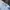 Adidas Sportswear Jersey Pria white blue photo 3