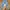 Levi's Streetwear Casual Jeans Pria Navy Blue