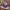 Adidas Casual Sneakers Pria purple photo 2