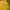 Casual Windbreaker Pria Yellow