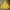 Casual Windbreaker Pria Yellow