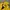 Casual Windbreaker Pria yellow photo 4