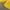Casual Windbreaker Pria yellow photo 3
