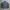 Umbro Sportswear Windbreaker Pria gray photo 1