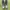 Dockers Biker Boots Pria gray photo 2