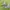 Dockers Biker Boots Pria gray photo 3
