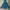 Casual Windbreaker Pria Blue