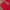 Casual Windbreaker Pria red photo 7