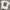 Vintage Y2K T-shirt Pria white photo 1