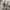 Tommy Hilfiger Vintage Streetwear Windbreaker Pria tan photo 4