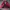 Streetwear Sportswear Track jacket Pria red black photo 2