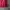 Streetwear Sportswear Track jacket Pria red black photo 3
