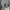 VANS Y2K Skater Sneakers Pria tan photo 5