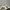 Adidas Y2K Casual Sneakers Pria White