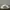 Adidas Y2K Casual Sneakers Pria White