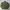 Superdry field m65 military jacket army photo 1
