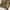 Streetwear Skater Casual pants Pria multicolor photo 4
